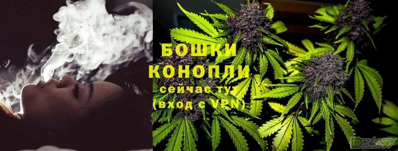 где купить наркотик  Бабаево  Канабис White Widow 